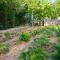 Organic Gardens Villa