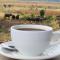 Nambiti Plains Lodge