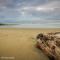Whare Manu Boutique Cottage