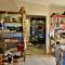 Sibuya Game Reserve and Lodge - Kenton on Sea