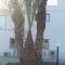 Argaka Palm Tree Apts - Argaka