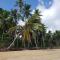 Las Terrenas, La Fenice, Playa Popy