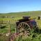 Lizzie off grid Shepherds Hut The Buteland Stop - 贝灵汉姆