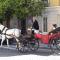 Sherryflat Paralejo 10 - Parking - Jerez de la Frontera