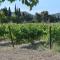 Domaine du Mas Foucray