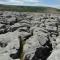 Burren Rock Farmhouse B&B - Turlough