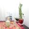 Apartment Nesti in Pristina Kosovo