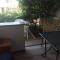 Apartments Juric