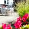 Windermere Suites