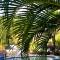 Bananas Apartments Adults Only