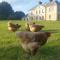 Kelly House Country B&B