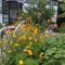 Hasayaki Homestay