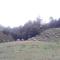 Eco Village Goles