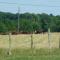 Relais Du Saussay photo 23