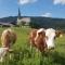 Alpenhotel Gastager