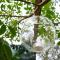 Camping Fiori di Noto