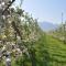 Schloss-Hof - Appiano sulla Strada del Vino