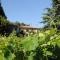 Les Vignes de Terrisse