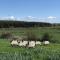 THISTLEDOWN - Ballina - Crossmolina - County Mayo - Sleeps 8 - Sister property to Inglewood