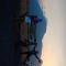 Homestay Lidiya