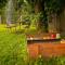 Guesthouse Cyprian