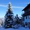 Blue Mountain Hotel