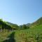 Agriturismo Campo Rosso - Civitella di Romagna