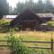 Redwood forest Redwood forest