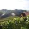 Ferienhaus Weingut Bauer