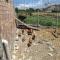 B&B Pozzo Innamorato