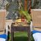 Limassol Beachfront Holiday Villa Limassol Beachfront Holiday Villa