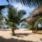 Shivas Beach Cabanas