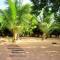 Shiva's Beach Cabanas - Tangalle