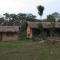 Chital lodge - Chitwan