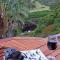 Blackwaters River Lodge, Knysna