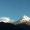 Mount Guest