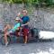 Like Home Guesthouse & Tours - Erevan