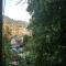 Curovac View