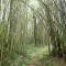Ranges View Lodge - Aberdare Safari in Muranga