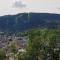 F2 SUR LES HAUTEURS DE GERARDMER