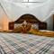 Maisha Nungwi - Boutique Hotel
