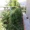 Foto: Studio Apartment Garden 15/25