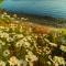 Sunrise Ridge Waterfront Resort