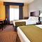 Holiday Inn Express Hotel & Suites New Iberia - Avery Island, an IHG Hotel