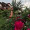 Sharkov Guest House