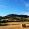 Agriturismo Podere Molino - 佩乔利区