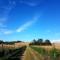 Agriturismo Podere Molino - 佩乔利区