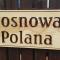 Sosnowa Polana Białowieża - 比亚沃维耶扎