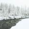 Iris Pond - Girdwood