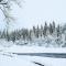 Iris Pond - Girdwood